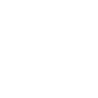 Icon Rollladen